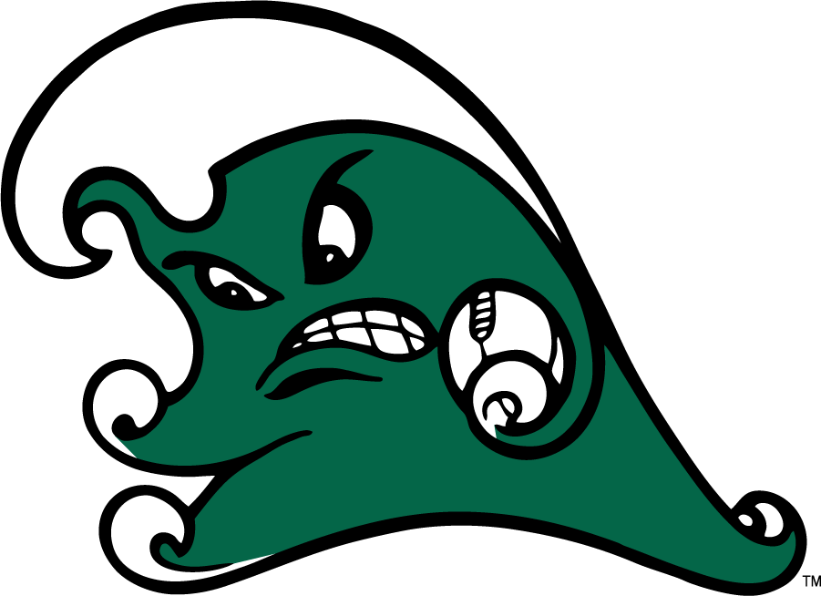 Tulane Green Wave 2016-2017 Secondary Logo v2 diy DTF decal sticker